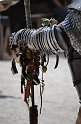 SFaire_2013 (5)